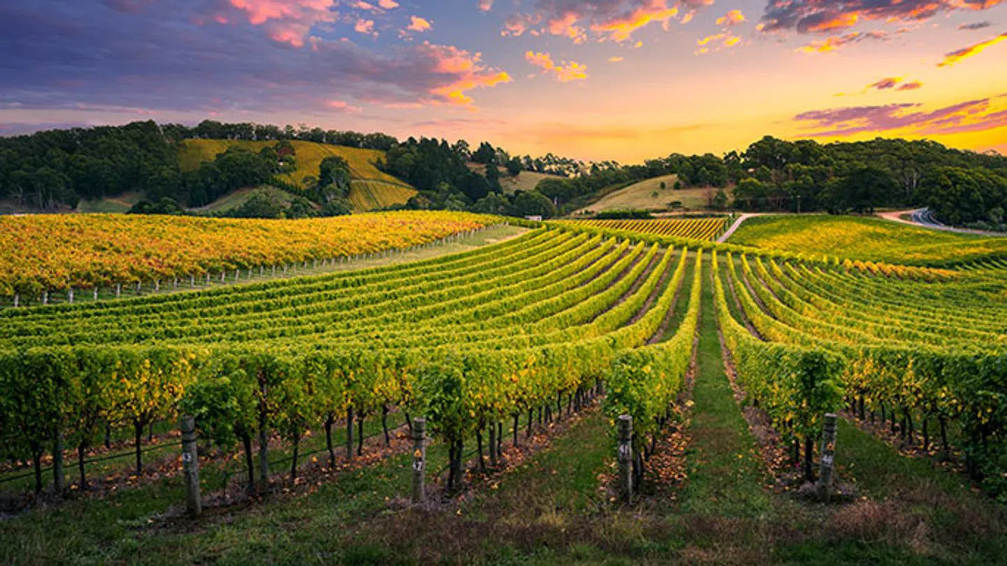 Luxury driving holiday in the Adelaide Hills with Ultimate Driving Tours