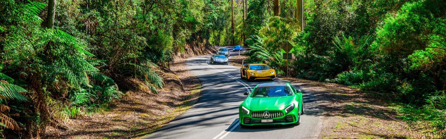 Tasmanian 'Own Car' Tour