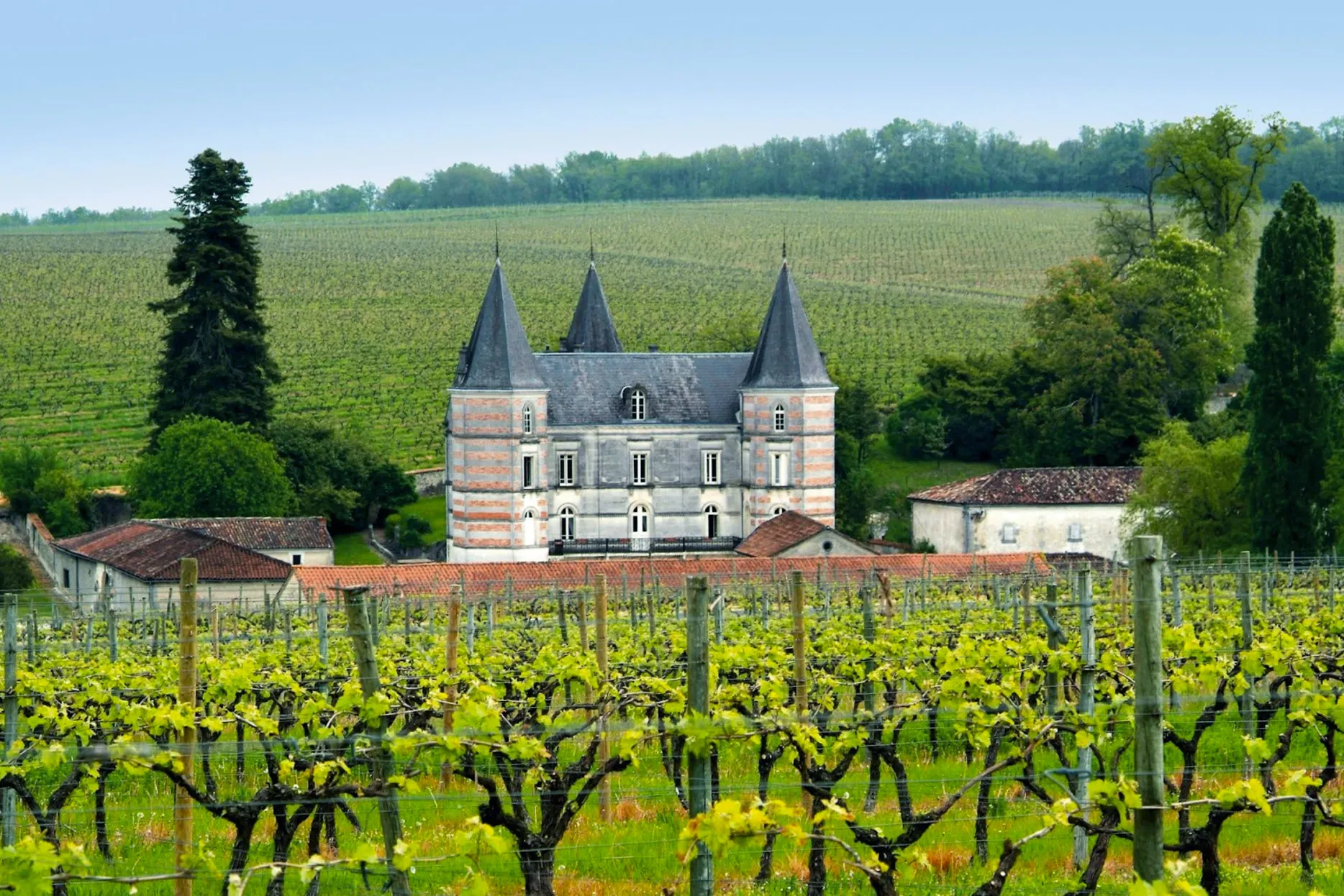 Picturesque chateau surrounded by vines in Champagne, France