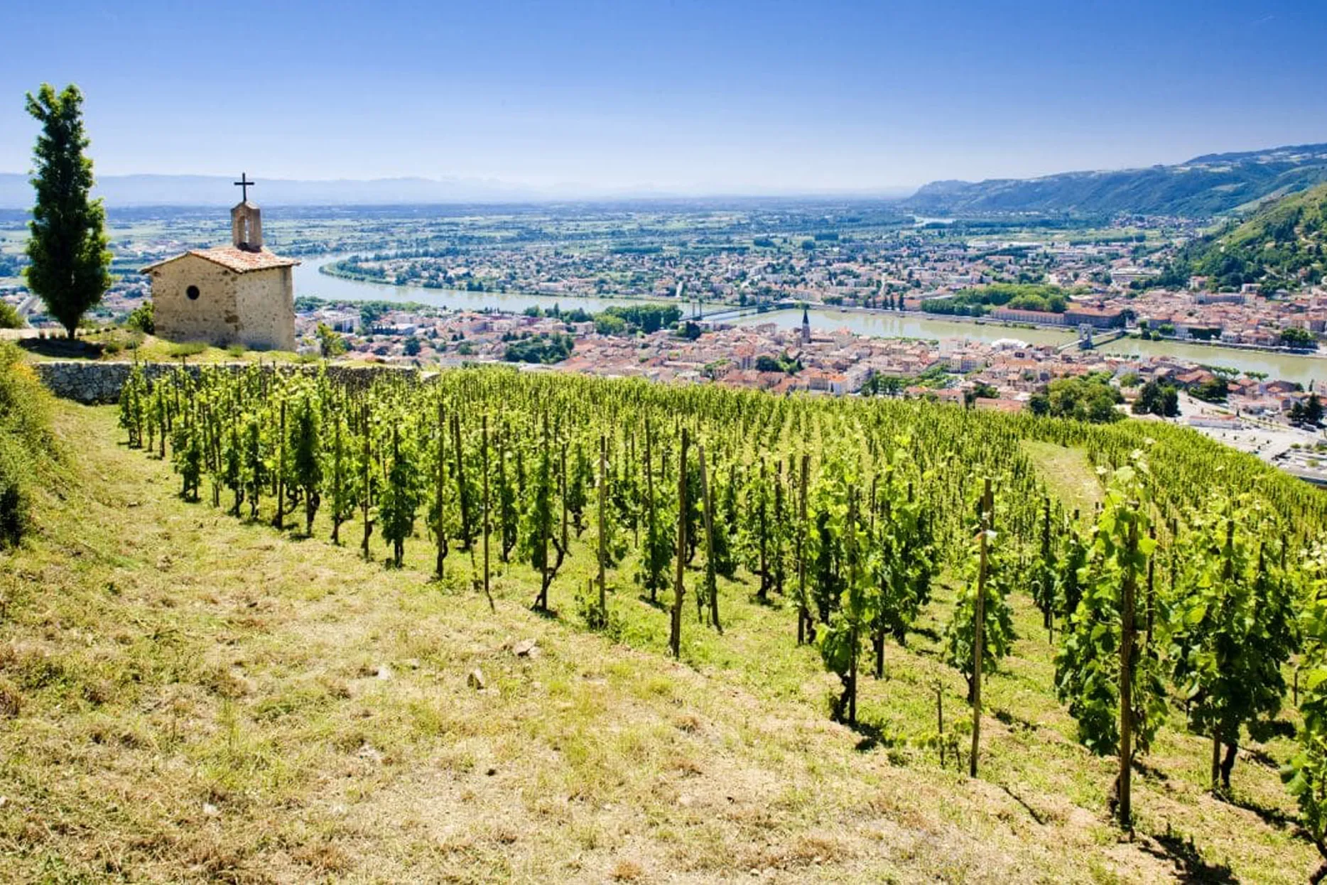 Views from a vineyard overlooking the Rhône Valley and River in France