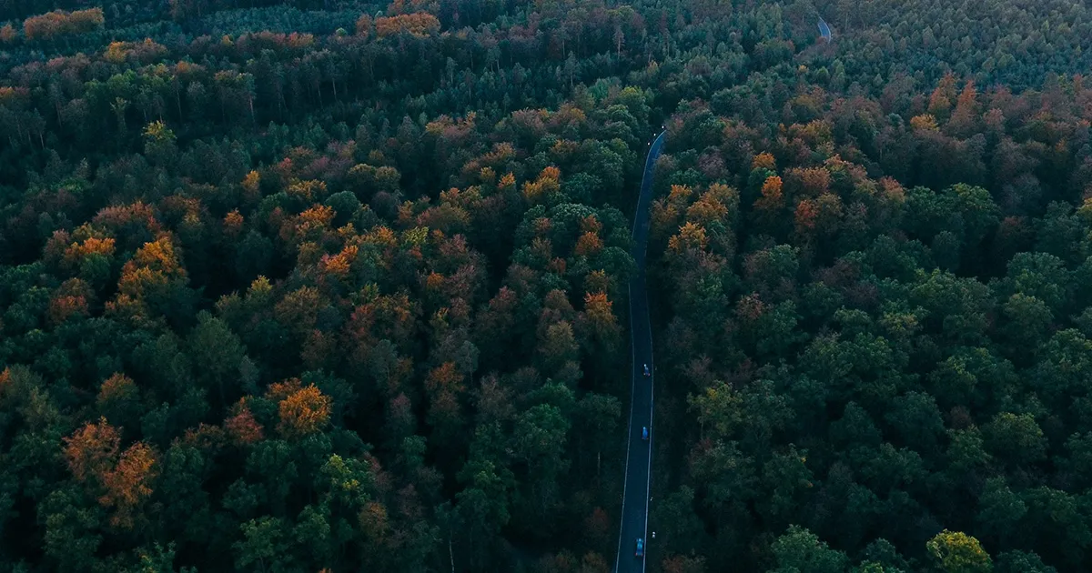 Experience the autobahn in Germany’s Black Forest
