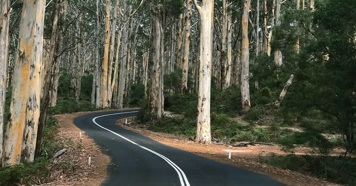 Drive Australia’s best roads including Margaret River
