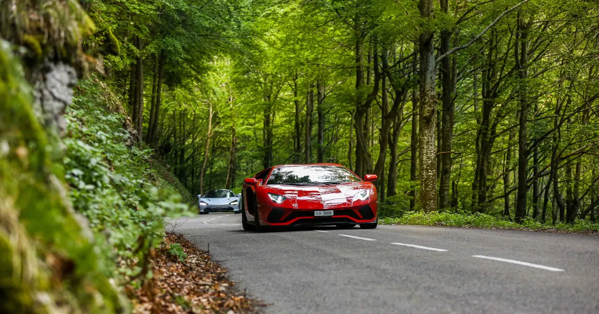 A red Lamborghini leads a white McLaren along a quiet road with tall trees in the forest