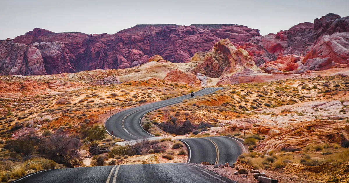 An undulating curved road passes through arid and rocky desert.