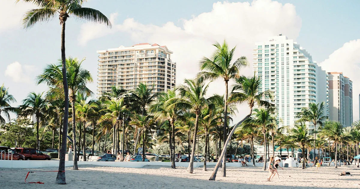 Palm trees and luxury apartment blocks in Miami