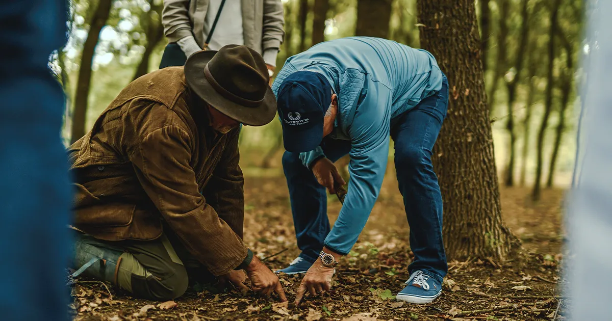 Two men crouch and inspect the forest floor for hidden truffles.