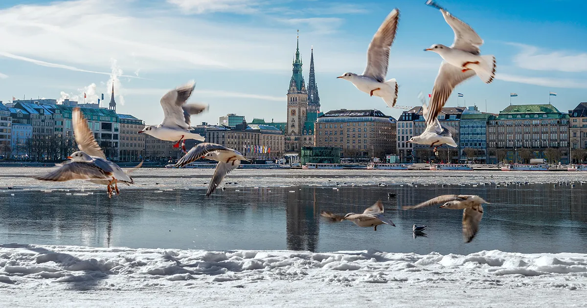 A flock of seagulls flies across a lake with the city of Hamburg in the background.