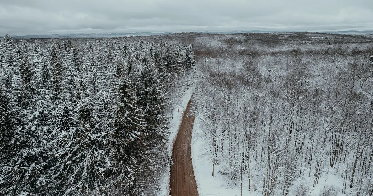 An empty single track road cuts through a snowy forest in Upstate New York.