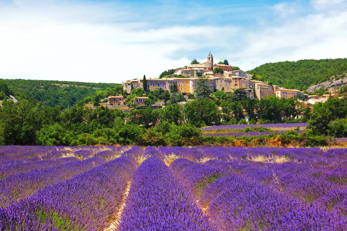 Experience the lavendar fields of Provence in the supercar of your choice