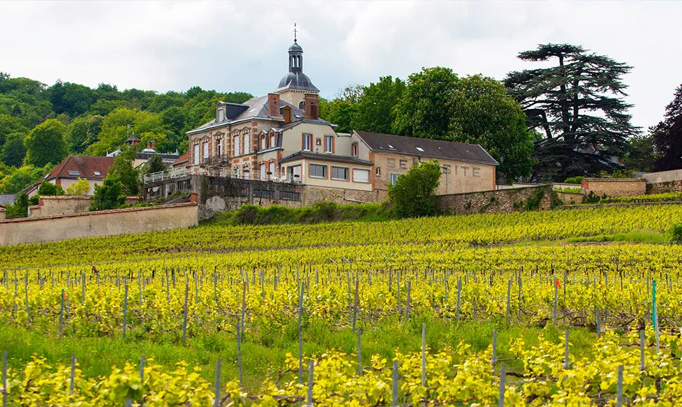 A view across the vines to the Royal Champagne Hotel and Spa in France