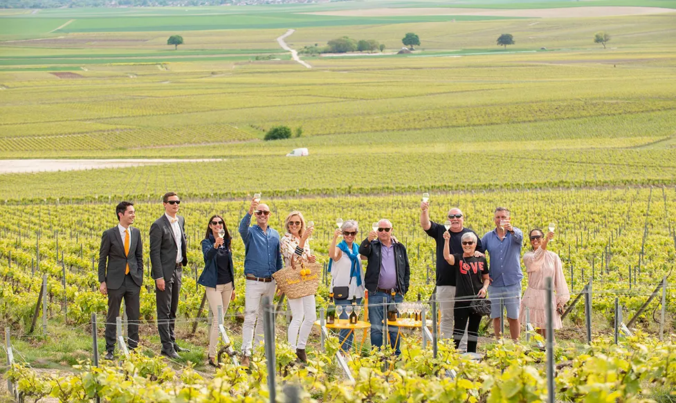 A group of guests amongst the vineyards toast glasses of champagne on an Ultimate Driving Tours luxury holiday in France