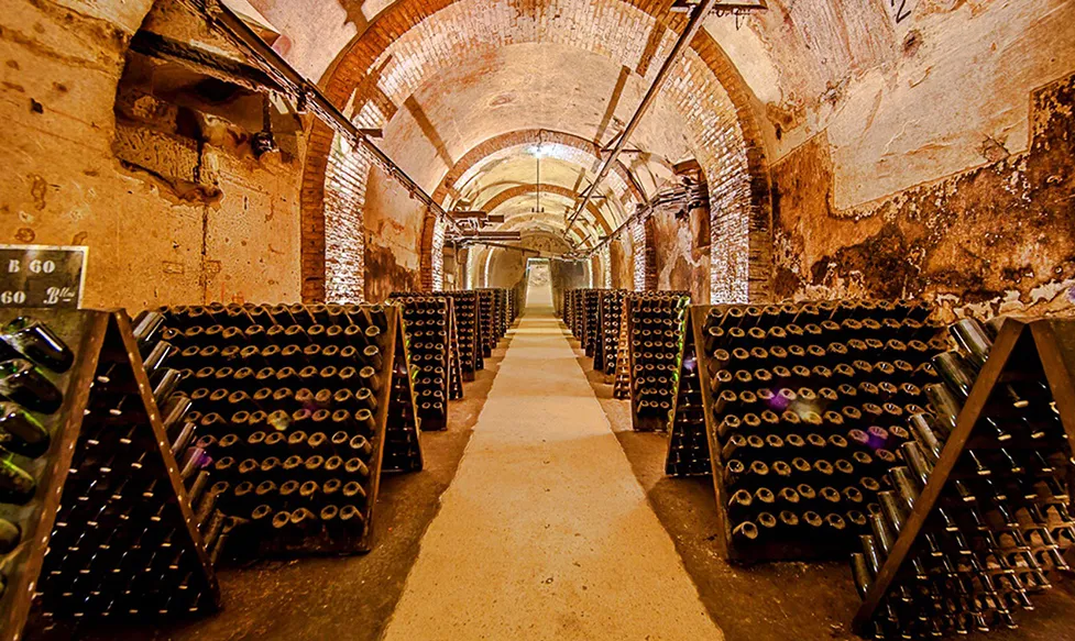 A long tunnel with an arched roof is flanked on both sides by dust-encrusted racks containing hundreds of bottles of vintage French Champagne