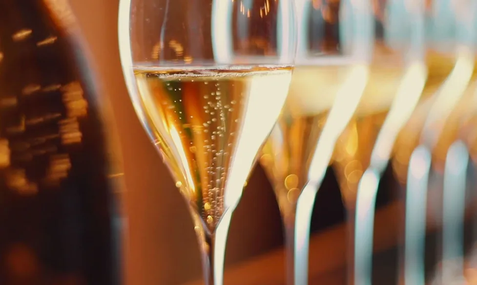 A line of tulip-shaped Champagne glasses are half-filled with golden, bubbling Champagne, ready to be served