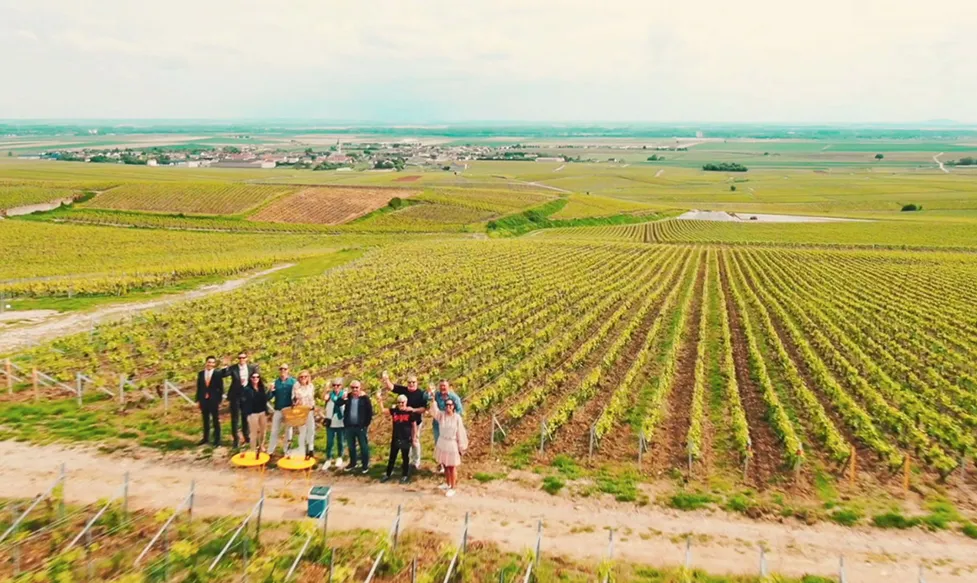 Ultimate Driving Tours&rsquo; guests toast a celebration in front of Champagne vines in France