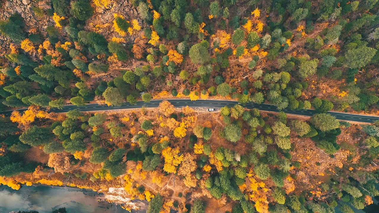 Drive a stunning curated route of California