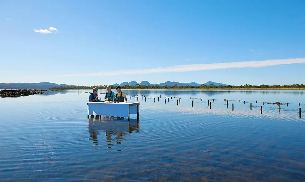 Three people over a table with white tablecloth in knee-deep water on a clear day
