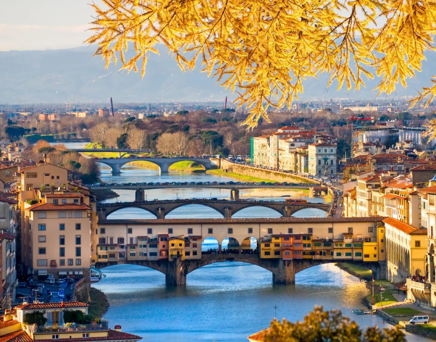 explore florence on a luxury hosted tour of italy